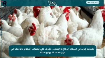 تصاعد جديد في أسعار الدجاج والبيض.. تعرف على تغيرات اللحوم بأنواعها في ليبيا الأحد 27 يوليو 2025